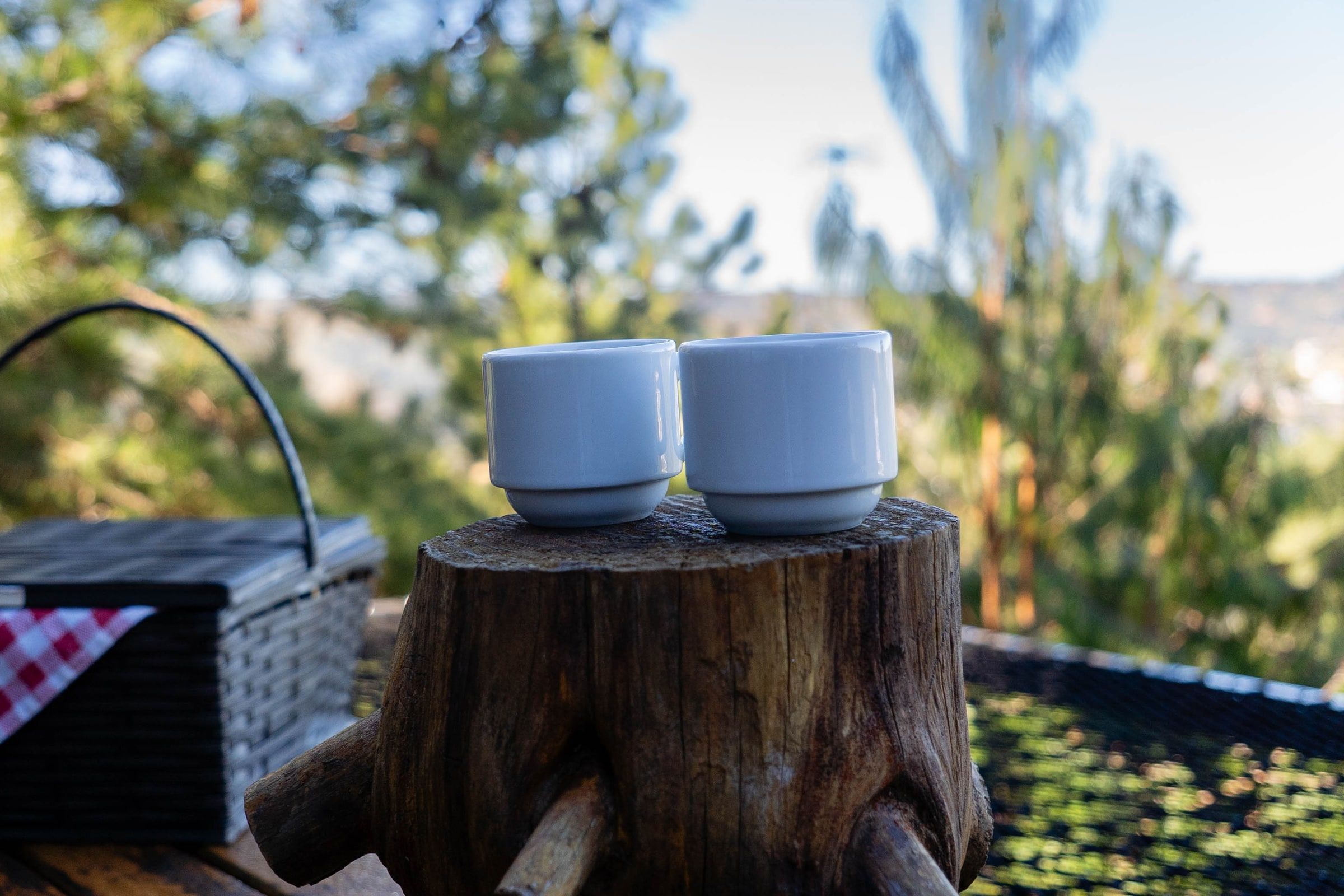 Picnic basket and two mugs on a cabin deck overlooking the mountains